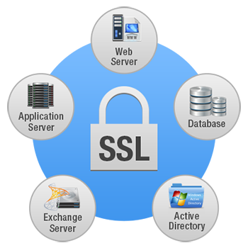 ssl monitor