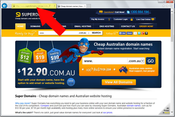 Choose your website monitoring address