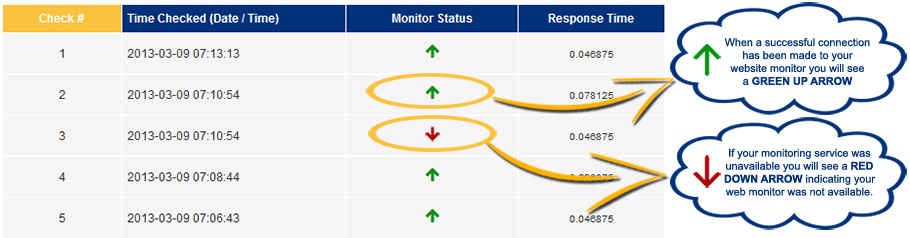 daily report example