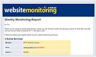 Email Report